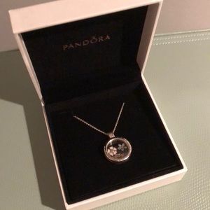 Pandora necklace